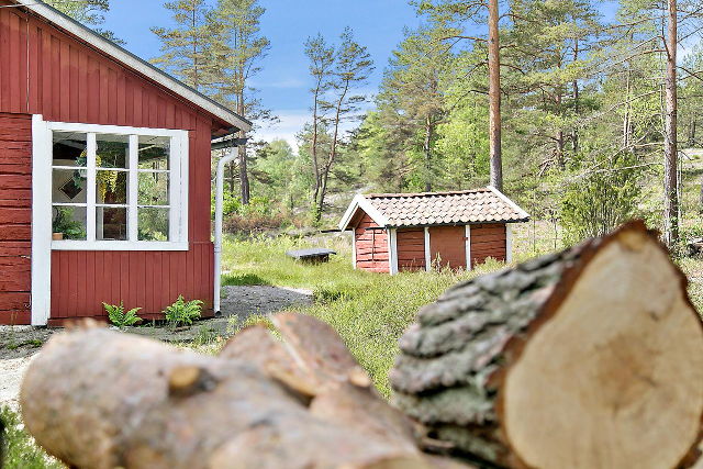 Blick auf in die Natur